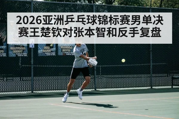 2026亚洲乒乓球锦标赛男单决赛王楚钦对张本智和反手复盘